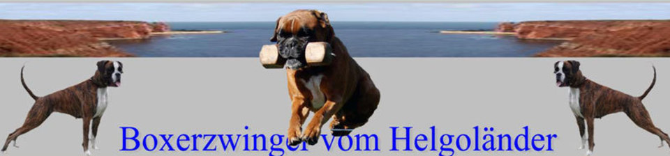 (c) Boxer-vom-helgolaender.de